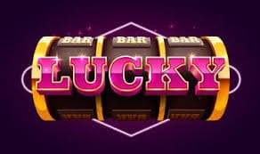 betcity